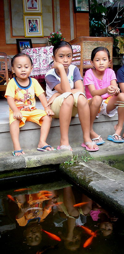 Au bord du bassin du Family Guesthouse, Ubud
